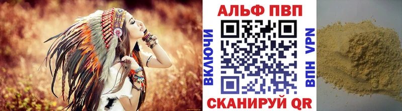 ссылка на мегу ССЫЛКА Великий Новгород A PVP крисы CK