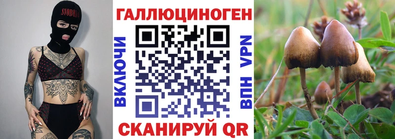 Галлюциногенные грибы GOLDEN TEACHER  кракен как войти  Великий Новгород 