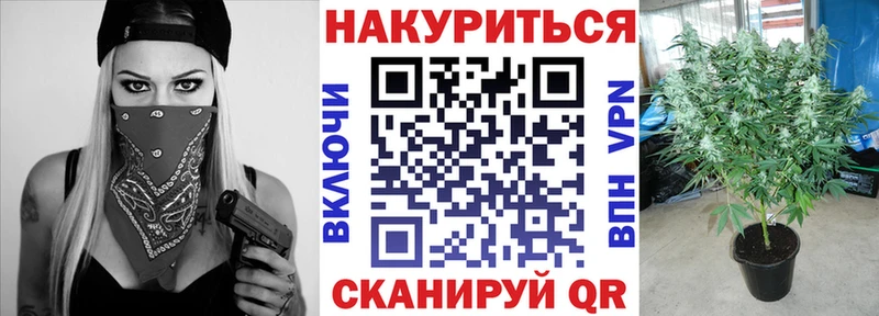 Конопля Amnesia  блэк спрут ссылка  Великий Новгород 